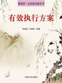 有效执行方案