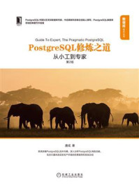 PostgreSQL修炼之道：从小工到专家（第2版）