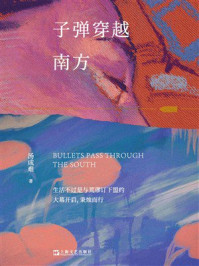 子弹穿越南方