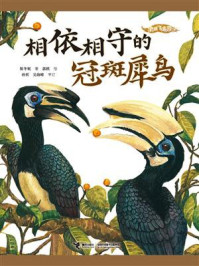 相依相守的冠斑犀鸟