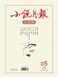 小说月报大字版2025年5月刊