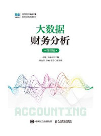 大数据财务分析（微课版）