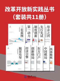 改革开放新实践丛书（套装共11册）
