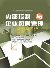 内部控制与企业风险管理：案例与评析（第2版）