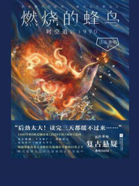 燃烧的蜂鸟:时空追凶1990