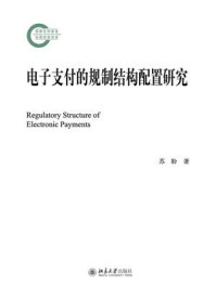 电子支付的规制结构配置研究