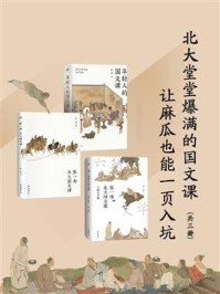 北大堂堂爆满的国文课：让麻瓜也能一页入坑（全3册）