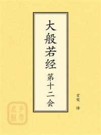 点校本：大般若经第十二会