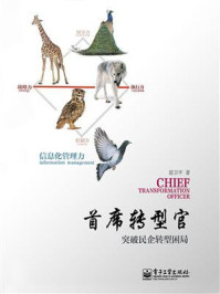 首席转型官——突破民企转型困局