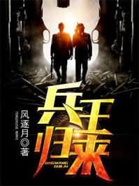 兵王归来