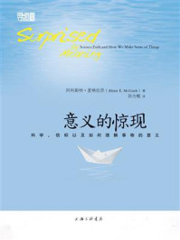 意义的惊现：科学、信仰以及如何理解事物的意义