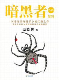 暗黑者外传:惩罚