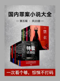 国内罪案小说大全·第5辑(全20册)