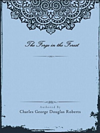 The Forge in the Forest