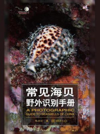 常见海贝野外识别手册