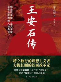 王安石传