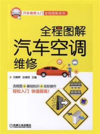 全程图解汽车空调维修