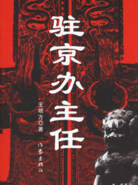 驻京办主任(一)