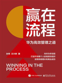 赢在流程：华为高效管理之道