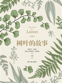 树叶的故事