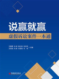 说赢就赢：虚假诉讼案件一本通