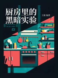 厨房里的黑暗实验