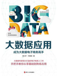 大数据应用:成为大数据电子商务高手