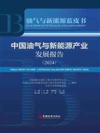 中国油气与新能源产业发展报告(2024)