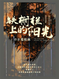 铁栅栏上的阳光