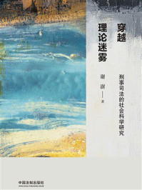 穿越理论迷雾:刑事司法的社会科学研究