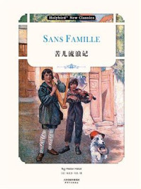苦儿流浪记：Sans Famille(英文版)