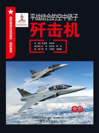 平战结合的空中骄子：歼击机