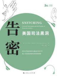告密:美国司法黑洞