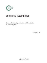 错案成因与制度修补