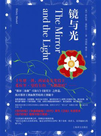镜与光