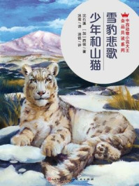 雪豹悲歌：少年和山猫