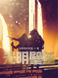 光明壁垒