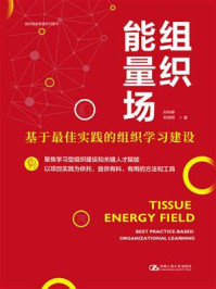 组织能量场——基于最佳实践的组织学习建设