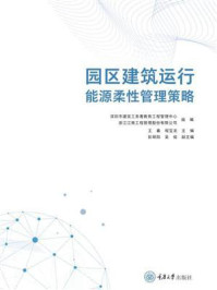 园区建筑运行能源柔性管理策略