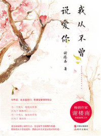 我从不曾说爱你