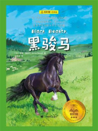 黑骏马