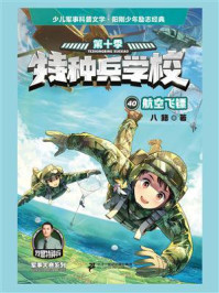 特种兵学校 40 航空飞镖