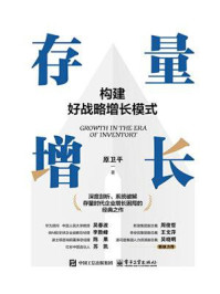 存量增长:构建好战略增长模式