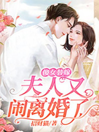 傻女替嫁：夫人又闹离婚了