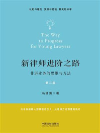 新律师进阶之路：非诉业务的思维与方法（第二版）