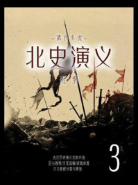 清代小说:北史演义 3
