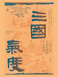 三国气度:大时代中的个人命运