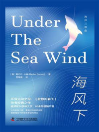 海风下