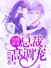 闪婚甜妻：总裁，高调宠