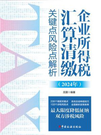 企业所得税汇算清缴关键点风险点解析（2024年）